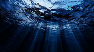 Scopri di più sull'articolo LAMPEDUSA BEACH