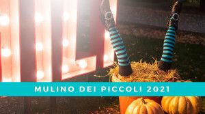 Scopri di più sull'articolo IL MULINO DEI PICCOLI